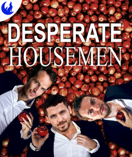 Affiche du spectacle Desperate housemen