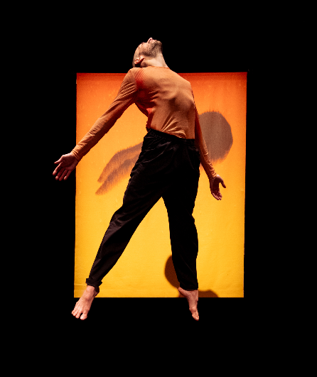 Affiche du spectacle Terre 1