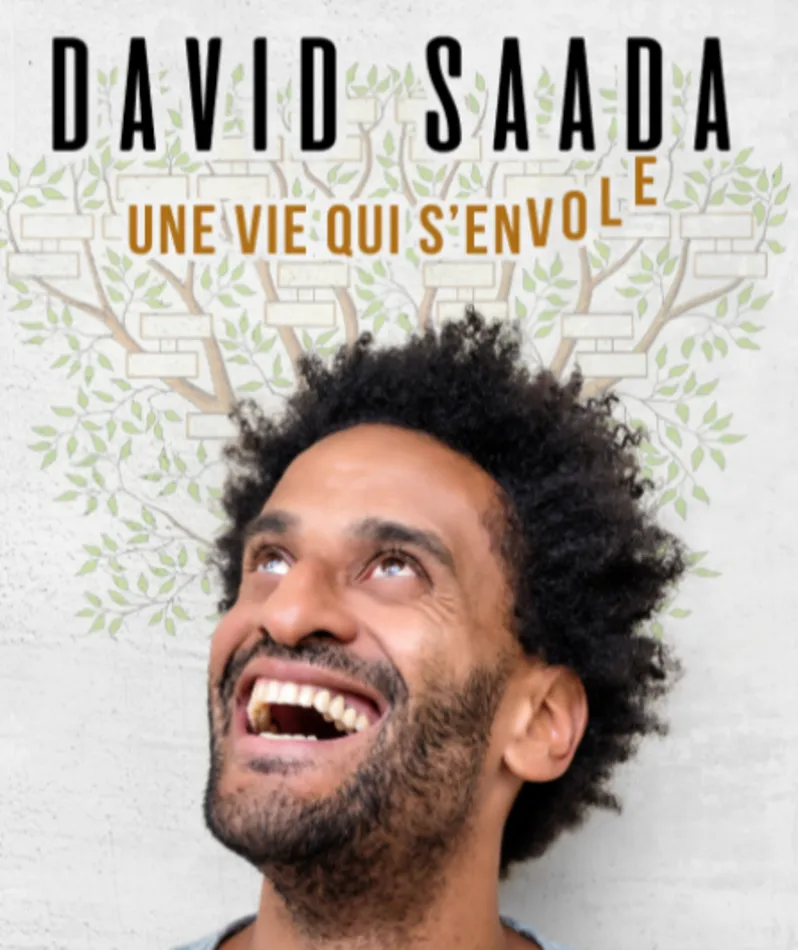 Affiche  spectacle : David Saada - Une vie qui s'envole