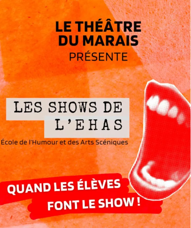 Affiche  spectacle : Les shows de l'ehas