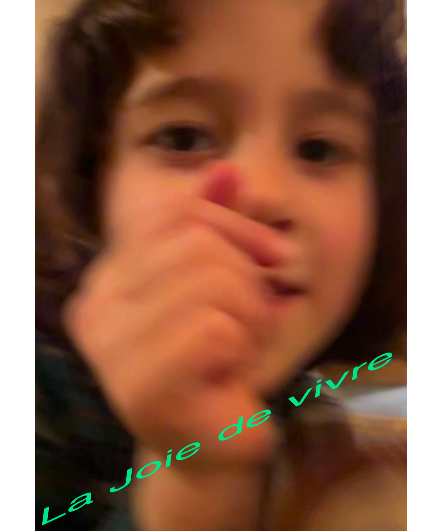 Affiche du spectacle La joie de vivre