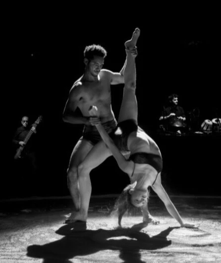 Affiche  spectacle : Insolations