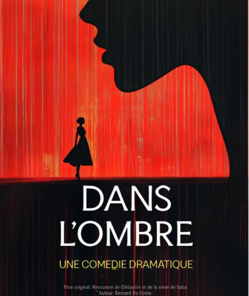 Affiche  spectacle : Dans l’ombre