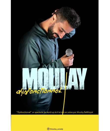 Affiche du spectacle Dysfonctionnel