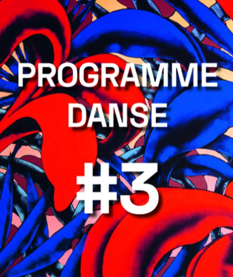 Affiche  spectacle : Programme danse #3