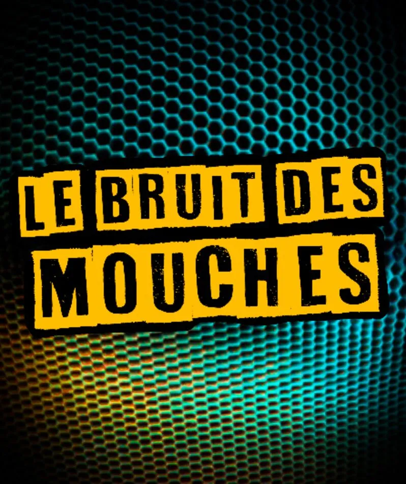 Affiche  spectacle : Le Bruit des Mouches