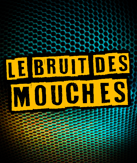 Affiche du spectacle Le Bruit des Mouches