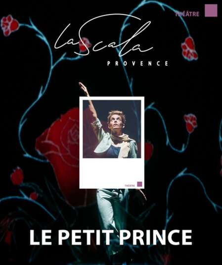 Affiche du spectacle : Le Petit Prince
