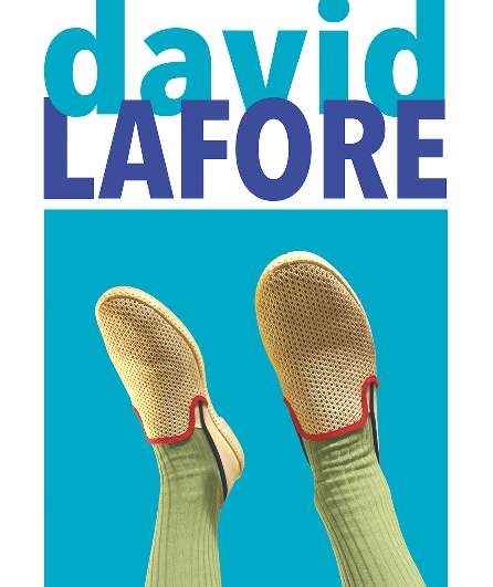 Affiche du spectacle david lafore