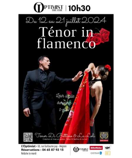 Affiche du spectacle : Ténor in Flamenco