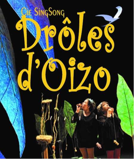 Affiche du spectacle : Drôles d'oizo