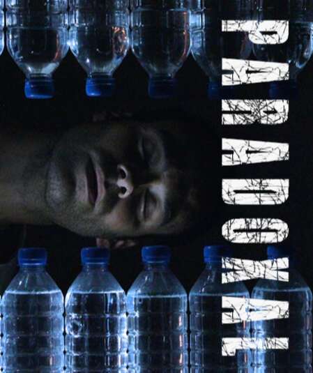 Affiche du spectacle : Paradoxal