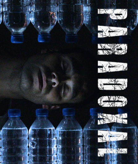 Affiche du spectacle Paradoxal