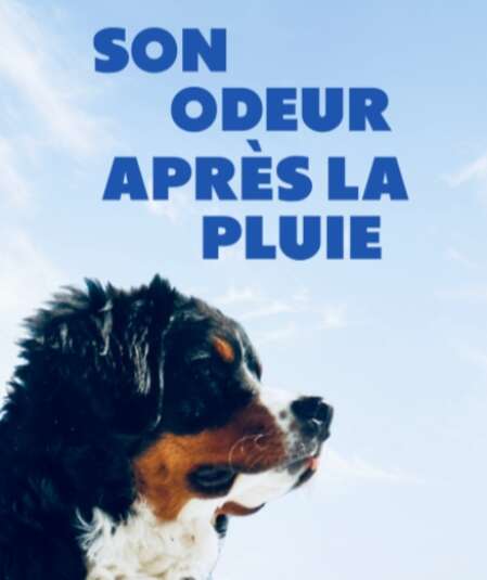 Affiche du spectacle : Son odeur après la pluie