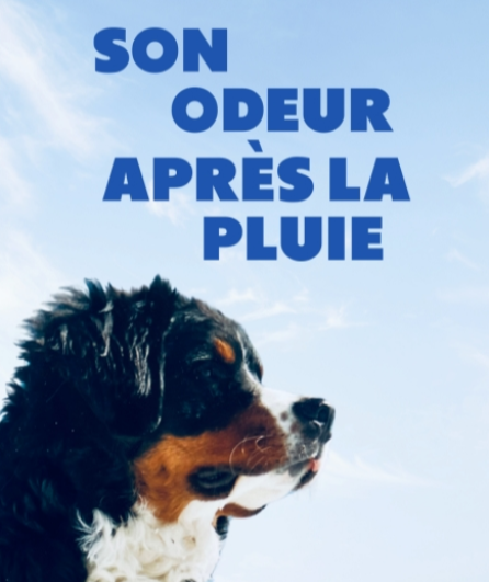 Affiche du spectacle Son odeur après la pluie