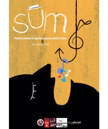Affiche du spectacle Sum
