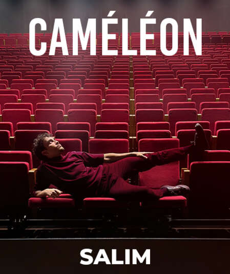 Affiche du spectacle : Caméleon