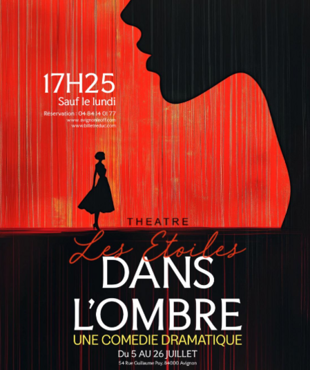 Affiche du spectacle : Dans l'ombre