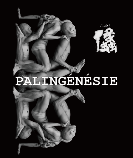 Affiche du spectacle Palingénésie