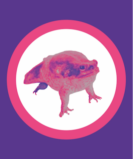 Affiche du spectacle La lente et difficile agonie du crapaud buffle sur le socle patriarcal
