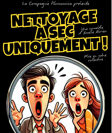 Affiche du spectacle Nettoyage à sec uniquement !