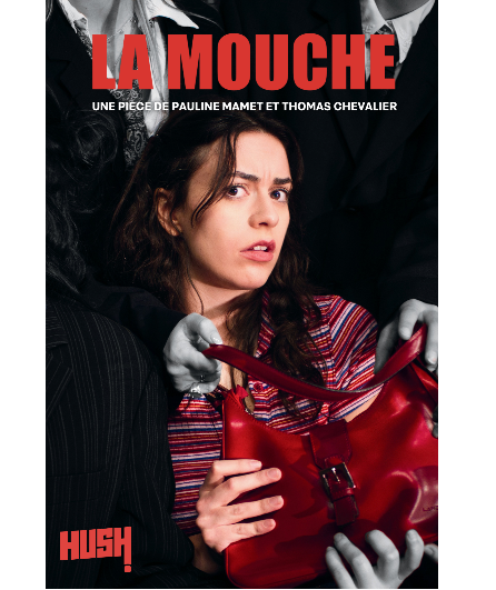 Affiche du spectacle La Mouche