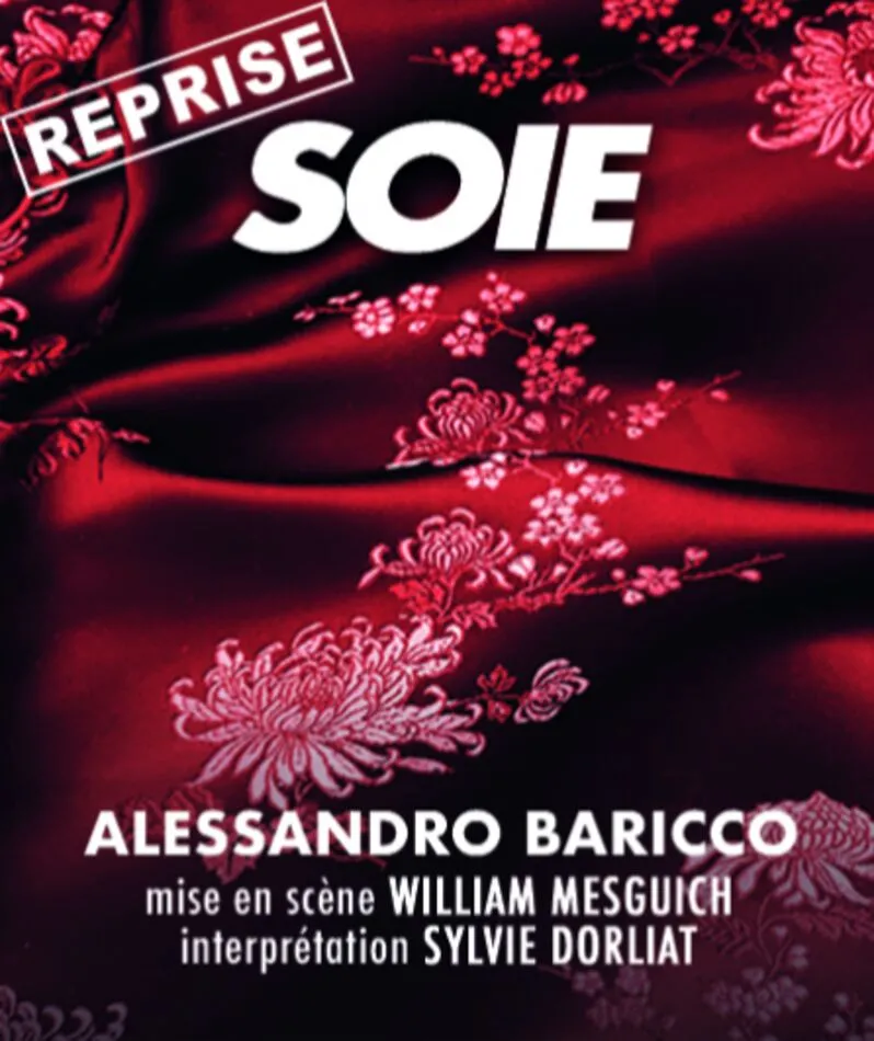 Affiche  spectacle : Soie