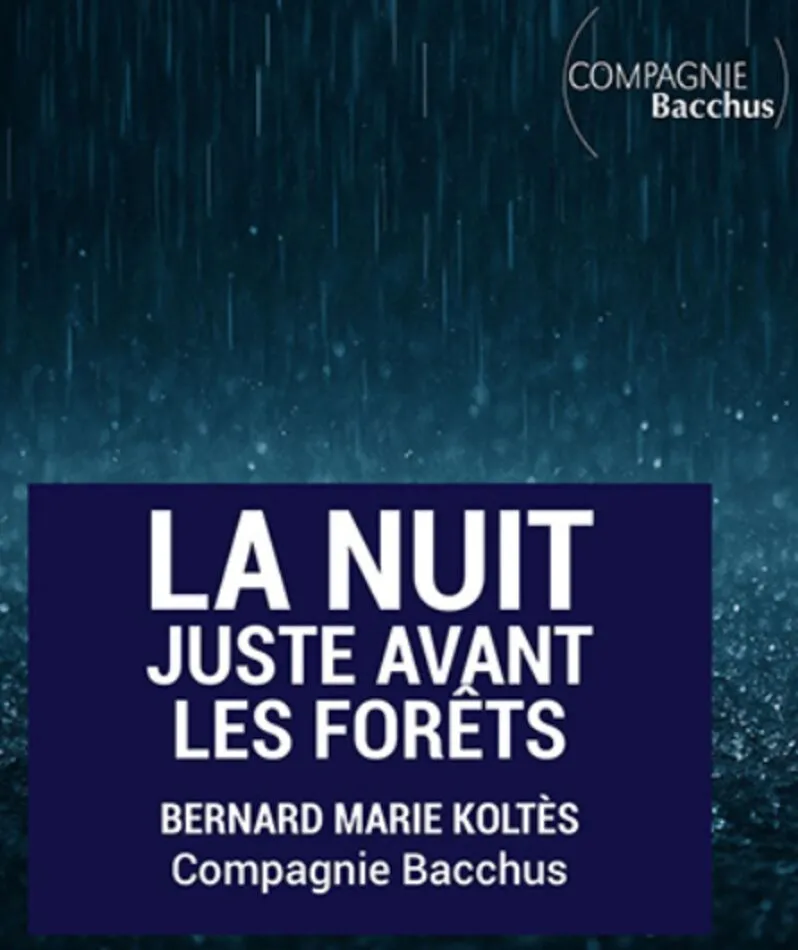 Affiche  spectacle : La nuit juste avant les forêts