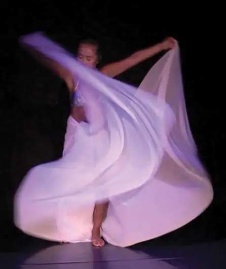 Affiche  spectacle : Vivaldi - Les Quatre Saisons