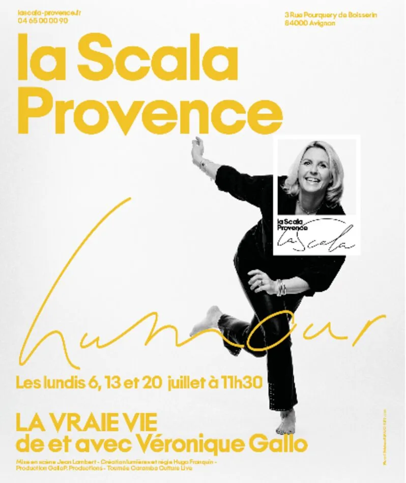 Affiche  spectacle : La vraie vie