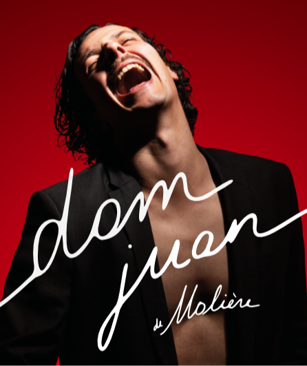 Affiche du spectacle Dom Juan