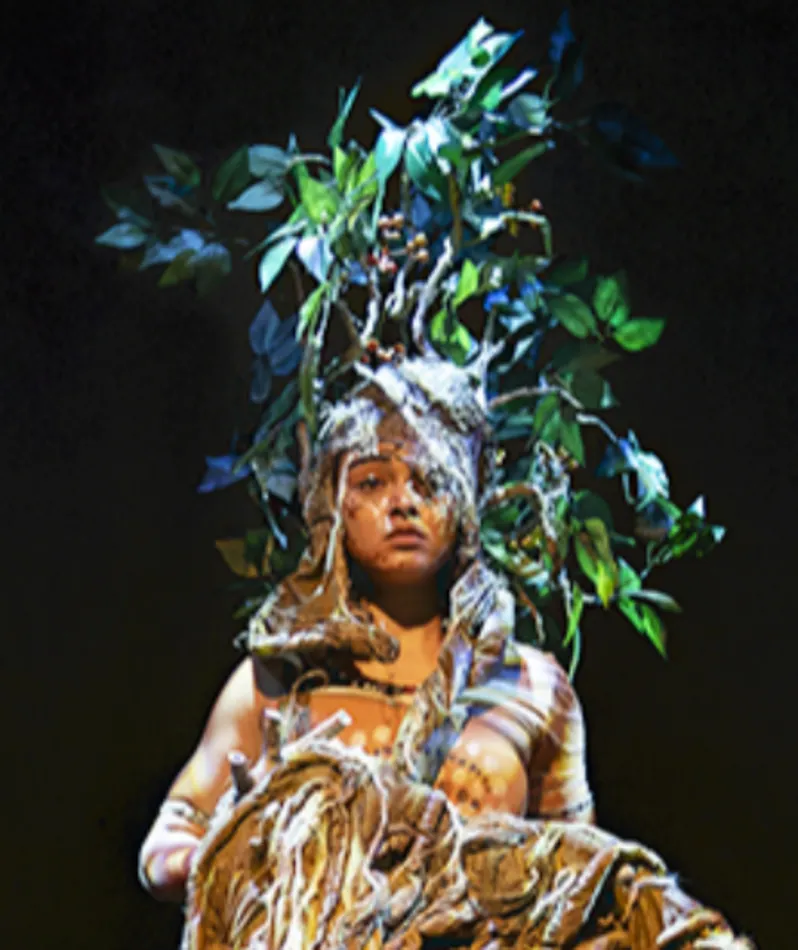 Affiche  spectacle : L'Enfant de l'Arbre