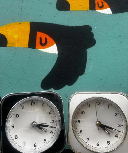 Affiche  spectacle : binôme, le poète et le savant