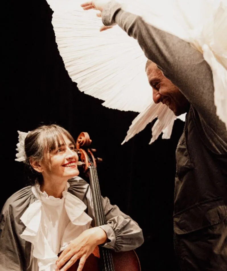 Affiche  spectacle : A petits plis