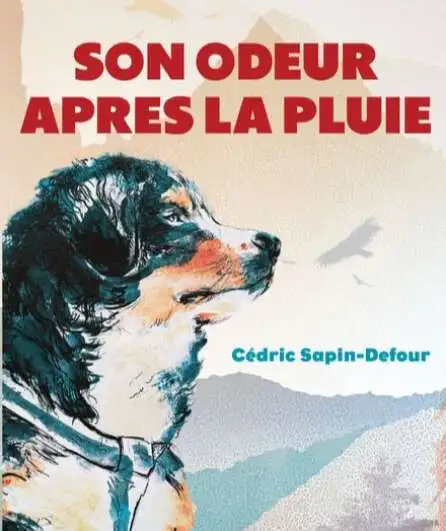 Affiche  spectacle : Son odeur après la pluie
