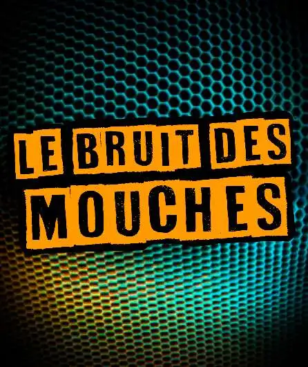 Affiche  spectacle : Le Bruit des Mouches