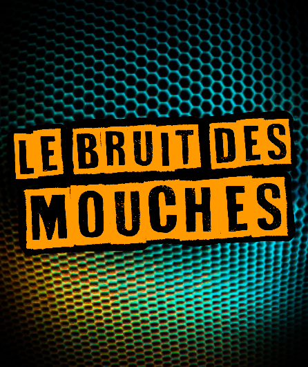 Affiche du spectacle Le Bruit des Mouches