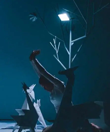 Affiche  spectacle : Imagori