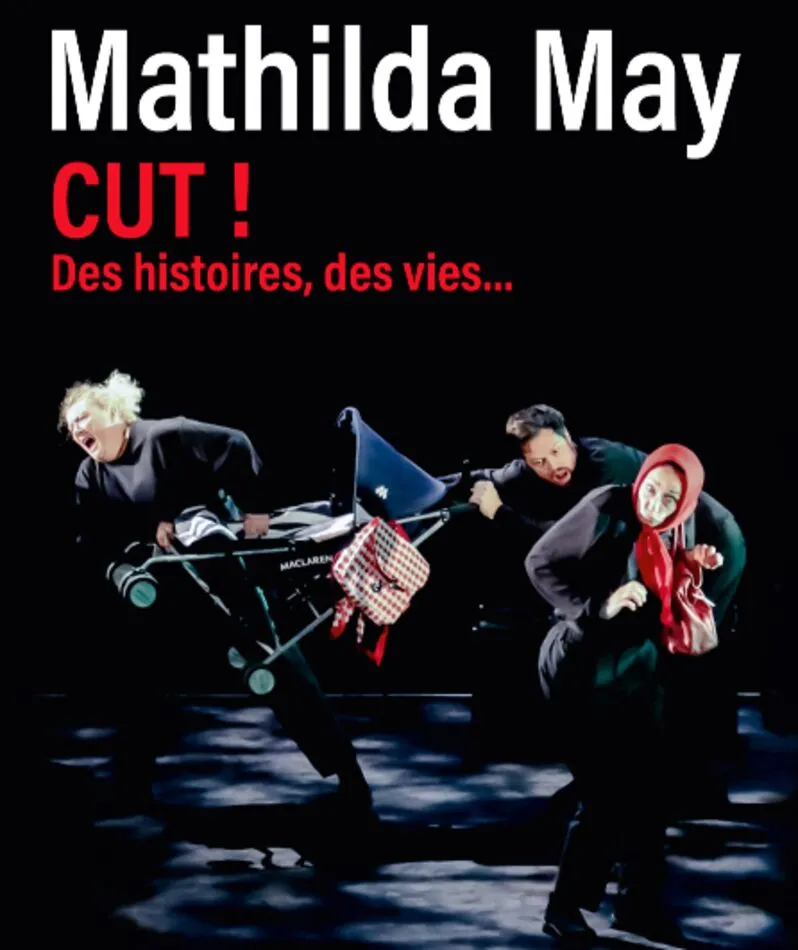 Affiche  spectacle : Cut ! Des histoires, des vies...