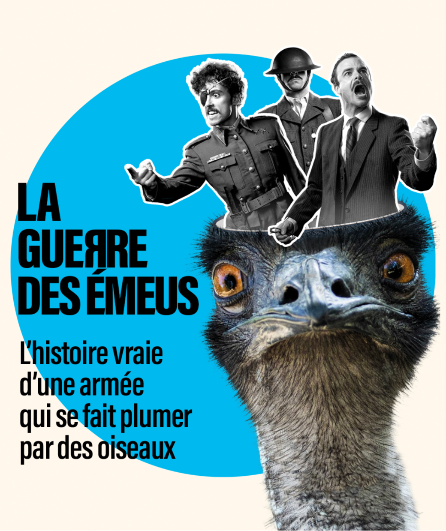 Affiche du spectacle La guerre des émeus