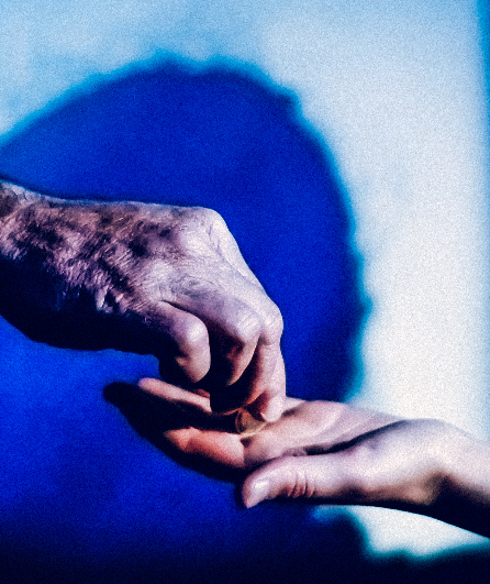 Affiche du spectacle Albatros