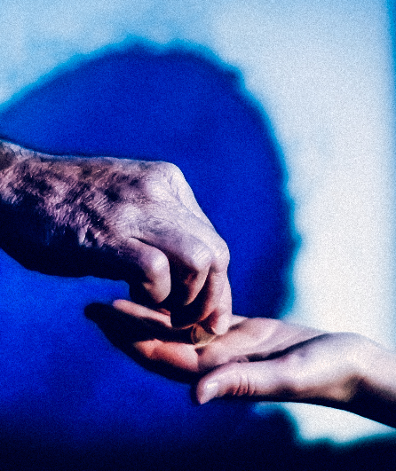 Affiche du spectacle Albatros