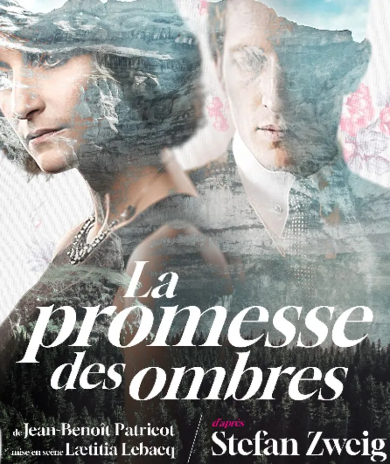 Affiche  spectacle : La promesse des ombres