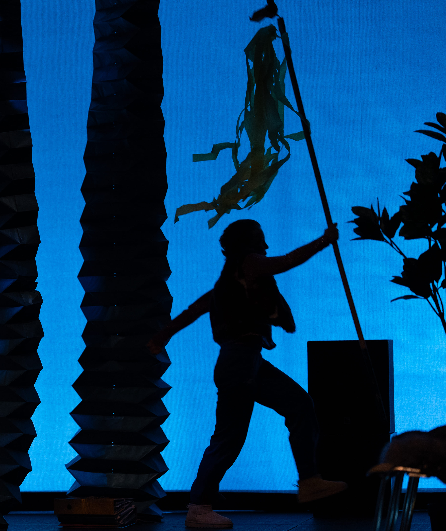 Affiche du spectacle À cheval sur le dos des oiseaux