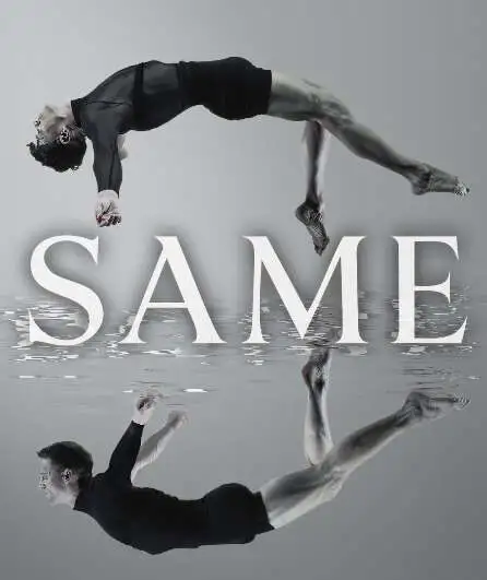 Affiche  spectacle : S A M E