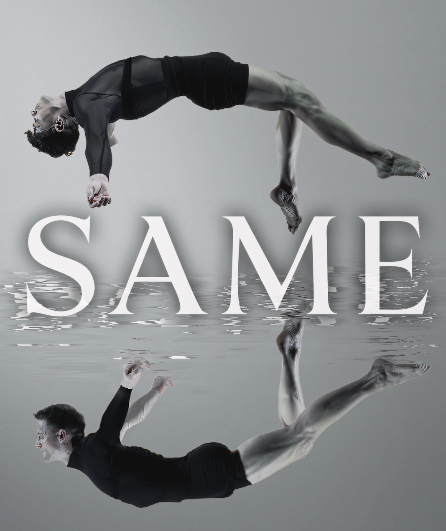 Affiche du spectacle S A M E