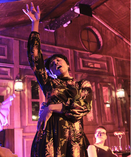 Affiche du spectacle Nous reviendrons au printemps