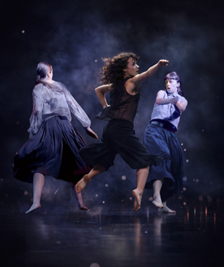 Affiche du spectacle La vitesse de l'eau