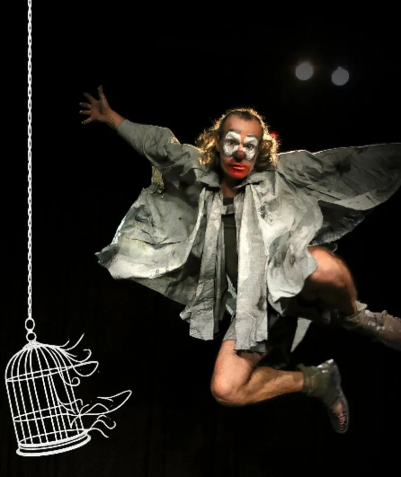 Affiche  spectacle : La cage au pigeon