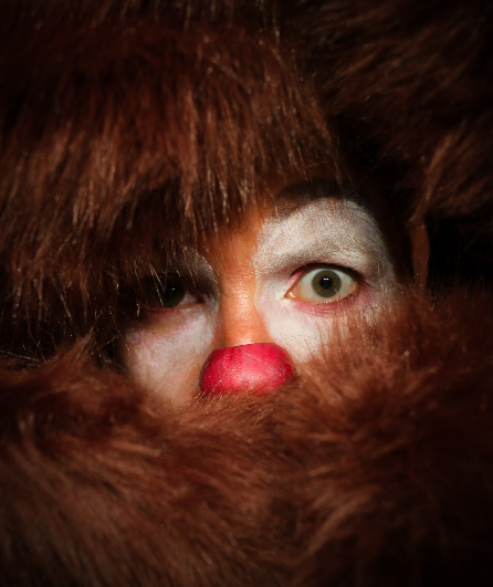 Affiche du spectacle Farouche